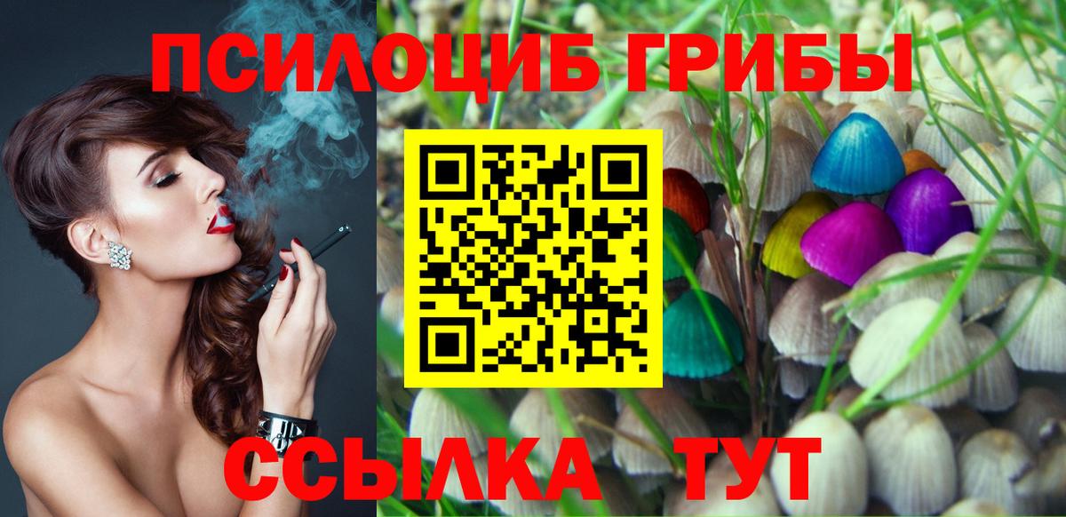 Псилоцибиновые грибы Cubensis Мирный